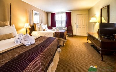 What Room Type Suits Your Next Lodge Stay Best